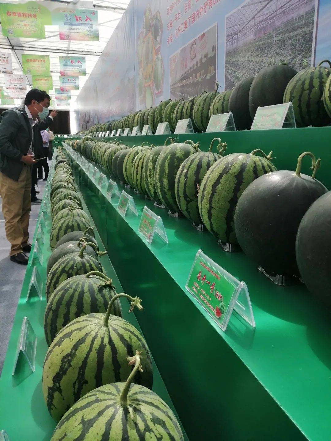 “火山农业”强势走红！科技助力打造新业态