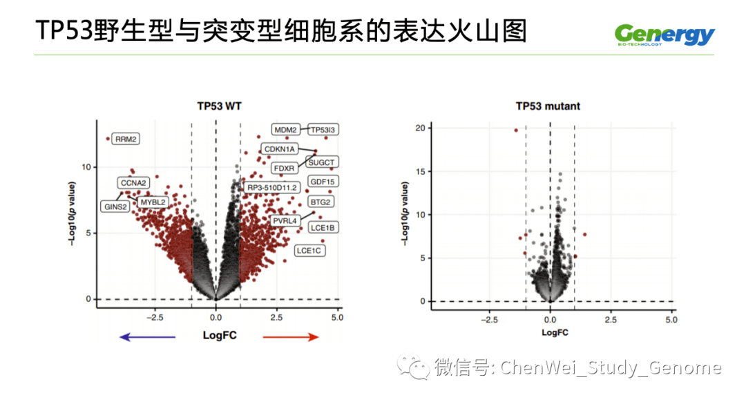 细胞疗理仪是什么原理_雾疗是什么