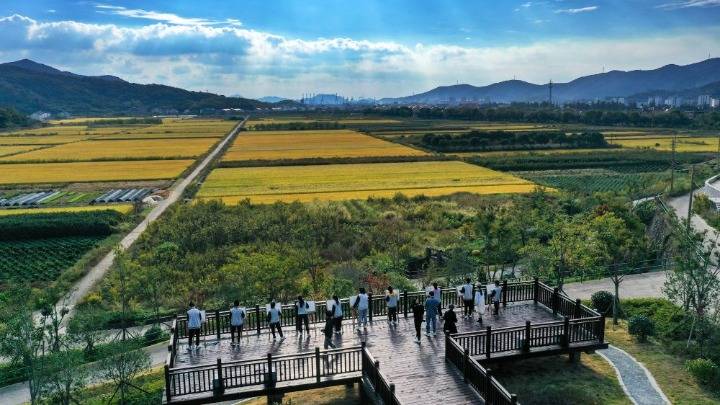 舟山|浙江舟山：课外实践活动 描绘家乡美景