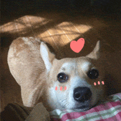 时候|被闭口封印的神仙颜值,是时候解开了......