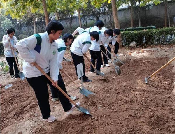 礼物|最接“地”气毕业礼物！济南这位高三班主任已经给学生备好明年的毕业礼物