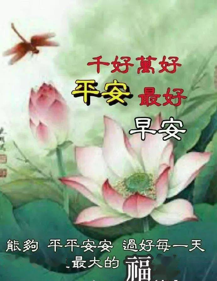 大家早上好,祝福加大力气 祝您健康更美丽!天天好心情