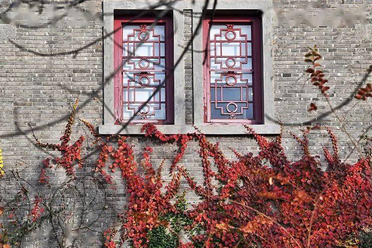 燕南园|未名湖、静园、燕南园……北大秋色的美，是你想象不到的