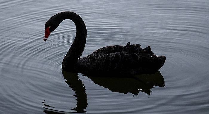 股份|实控人涉嫌操纵股市，这家业绩、股价连年下滑的通信公司发生了什么？