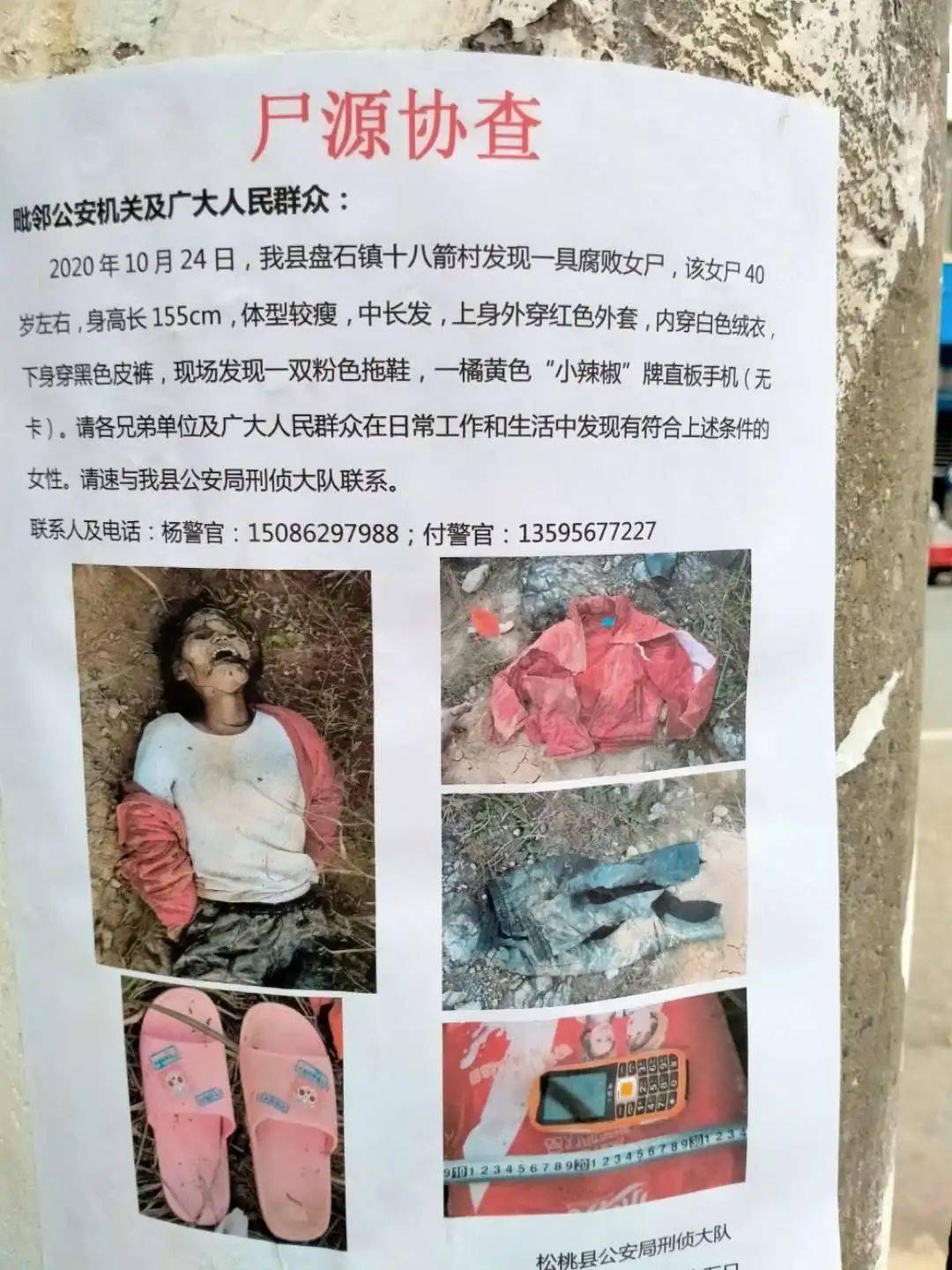 2020年10月24日,我县盘石镇十八箭村发现一具腐败女尸,该女尸40岁