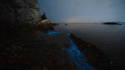 夜幕下,蜿蜒的海滩星海辉映,恋人们牵手散步,浪漫至极!