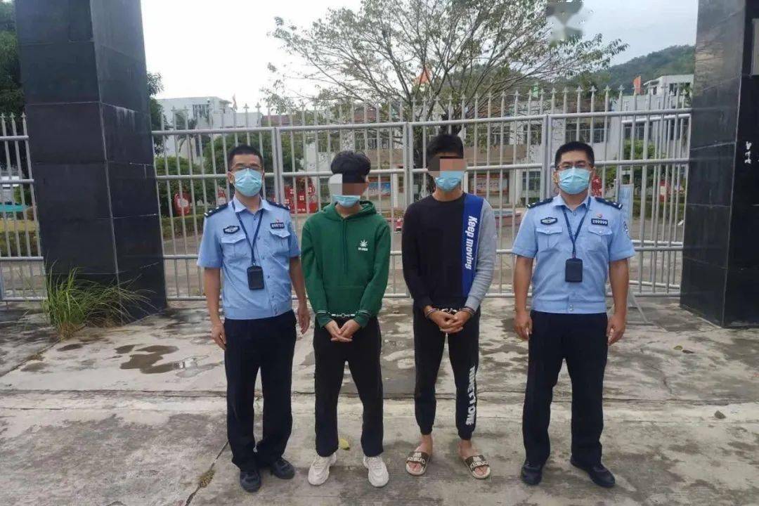 查潮南人口_人口普查图片