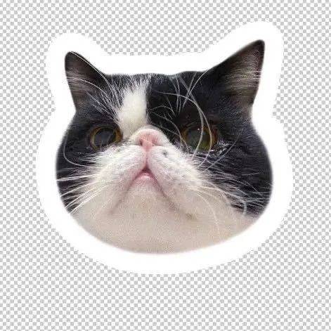 段位|关于「好闻」这件事，5位高段位男生的重要意见