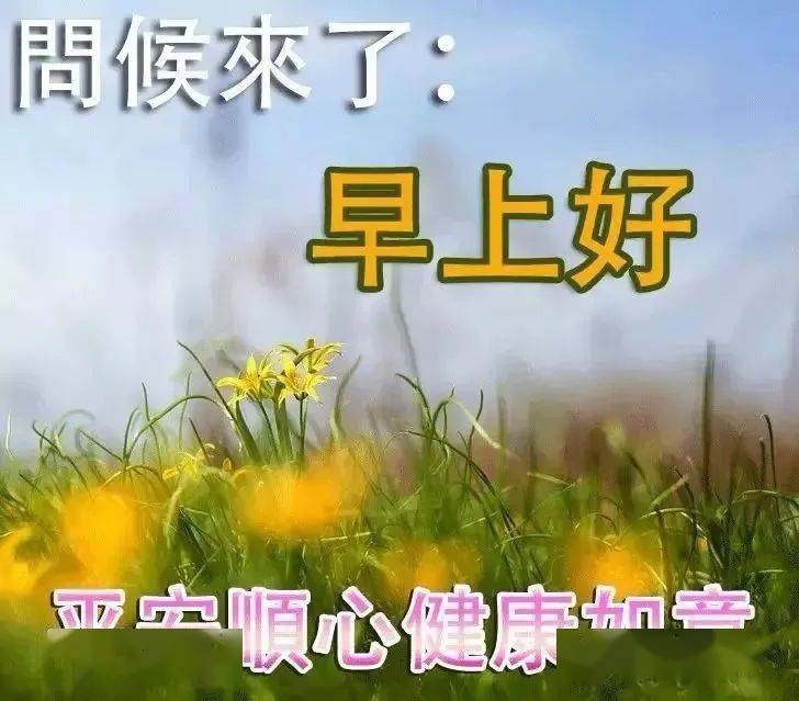 最新版非常漂亮的早上好表情图片 温馨早安心语语录