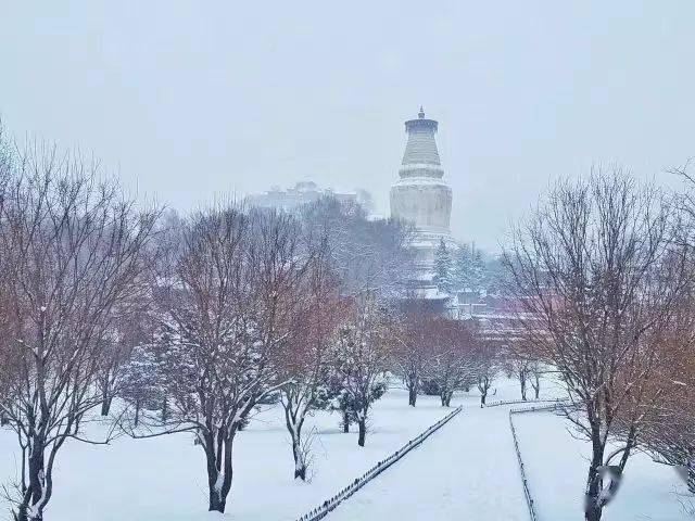 五台山下雪了,简直美成了仙境!