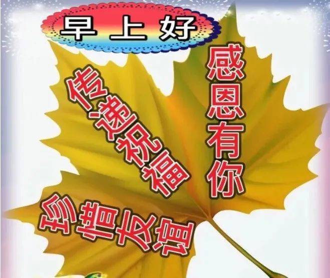 珍惜友谊,感恩有你!