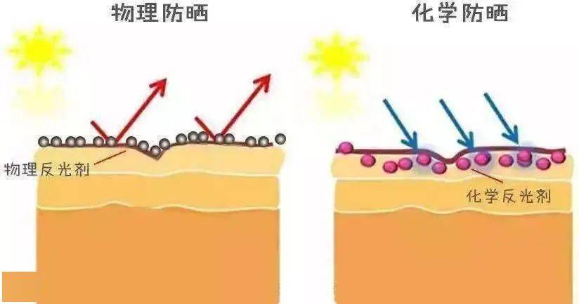 预售|200块也能化出百万化妆师同款底妆！3分钟让毛孔隐形，get粉嘟嘟的奶油肌！实在是太好看了~