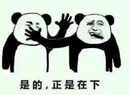 12bd4a31a01b4568aa3f0adad94599be.jpeg