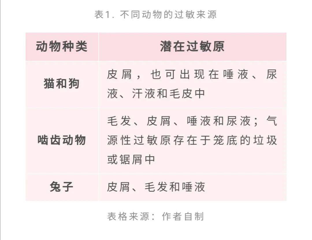 过敏的铲屎官,如何安全吸猫吸狗?