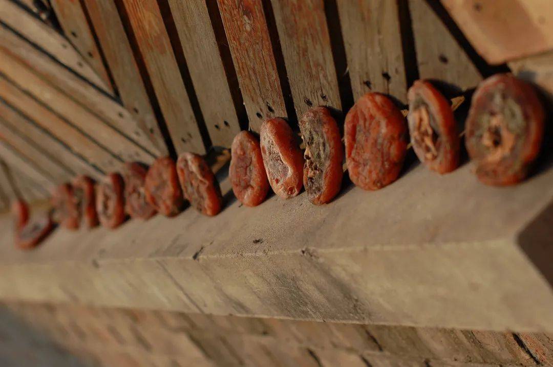 青年|柿子就像我磕的CP，要么好甜，要么好涩