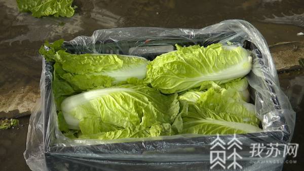 肉类|葱姜价格上涨，肉类水产品价格持续下行！