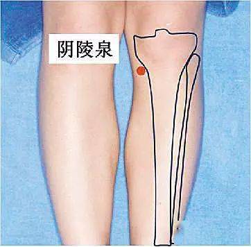 膝窝又称腘窝,在窝的中心点上,有一个重要穴位叫委中穴,走的是膀胱经