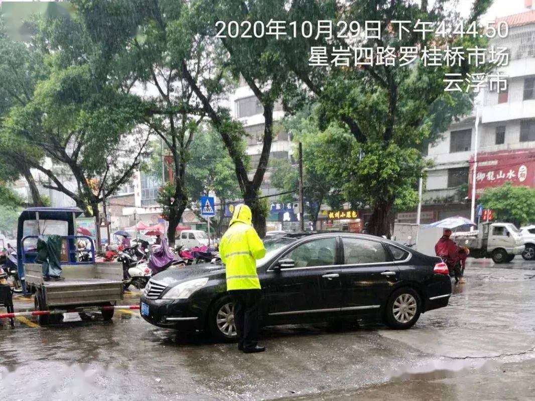 驾驶人人口_奥迪驾驶人图片(2)