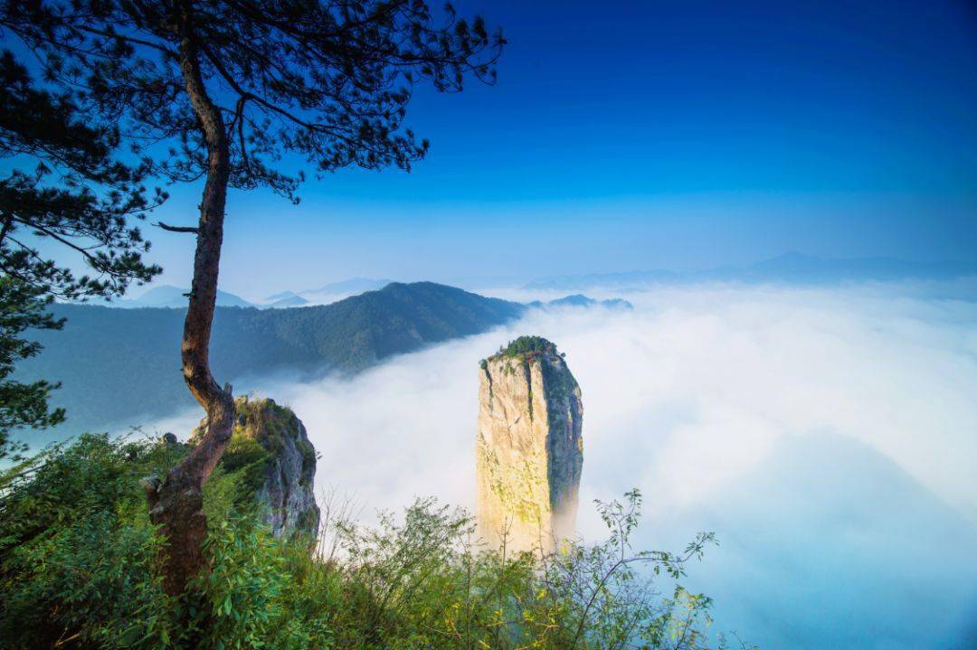 浙江境内秋日登高必去的7座名山,第一个就在北仑,每一寸秋色都美到