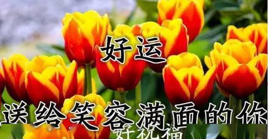 23fe7cd412c64d57b0c1c438d978e59e.jpeg