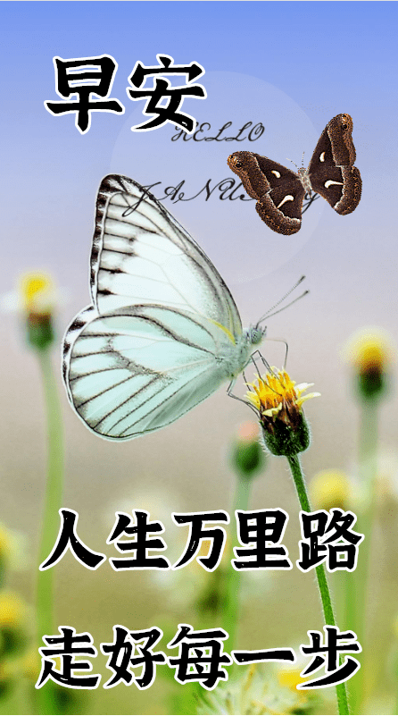 11月1日最漂亮早上好动态表情图片大全,早晨好动图美图大全 非常有用