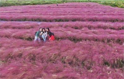 景点|东方快评丨“网红景点”不能只顾“红一时”