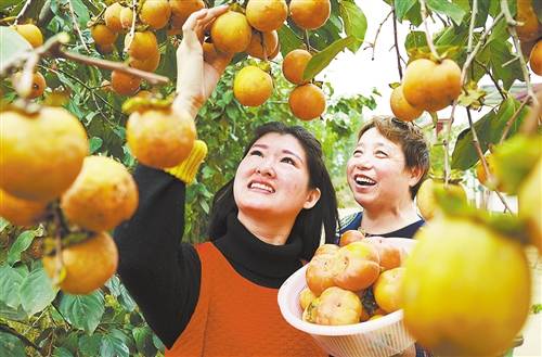 就业|就近就业促增收