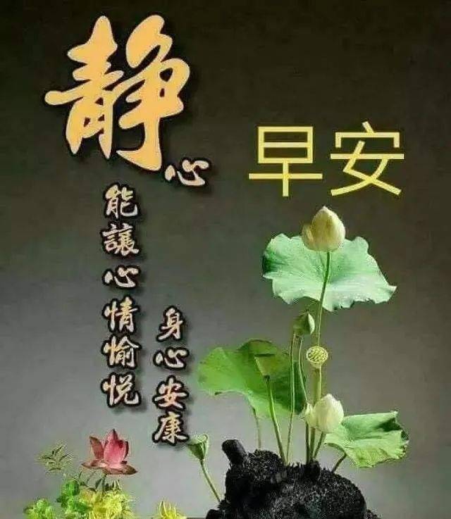 eb6f84c1e3504318b0708d44a71801c6.jpeg
