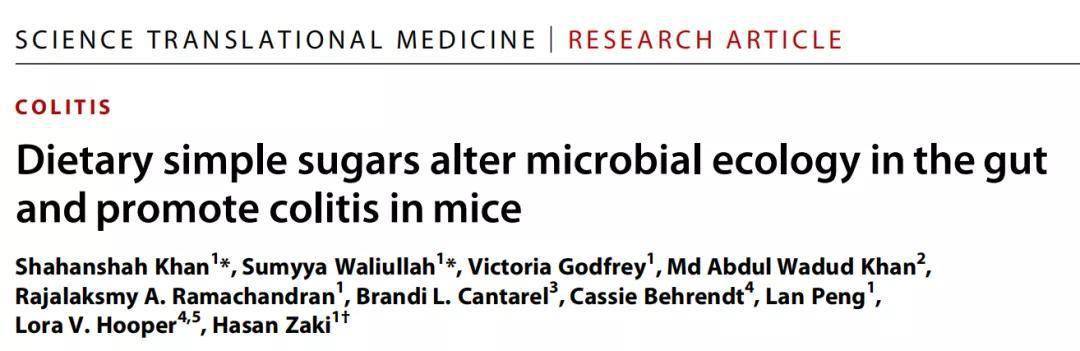 研究|Science子刊：汝之蜜糖，肠胃砒霜！高糖饮食会诱发结肠炎，肠胃不好，竟是因为吃得太甜？