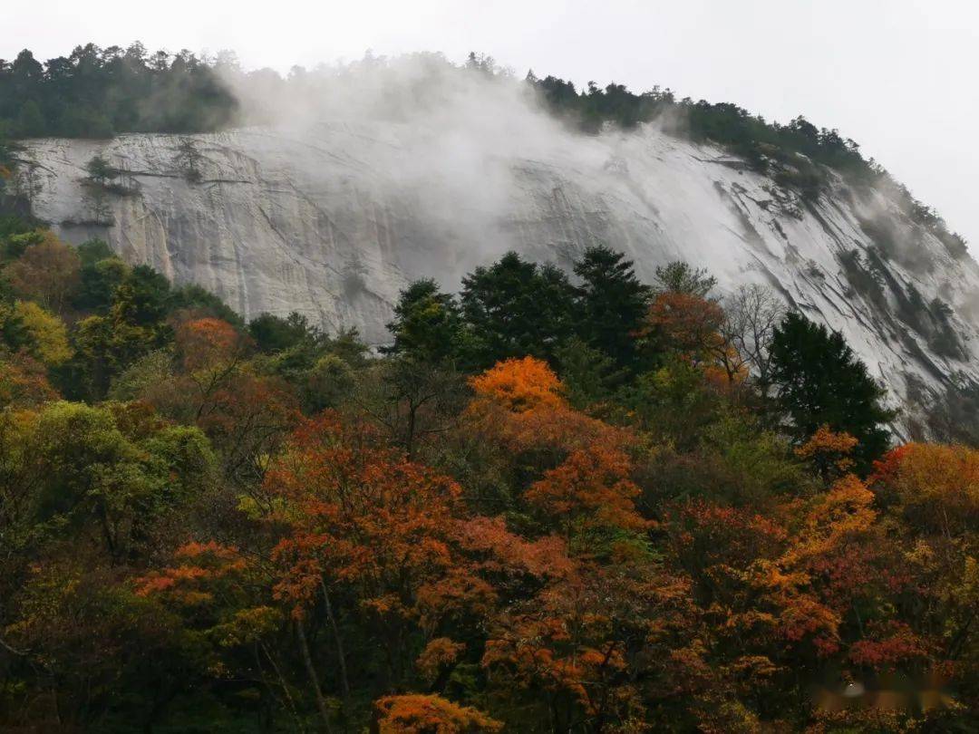 金秋盛景～浪漫缤纷的木王山