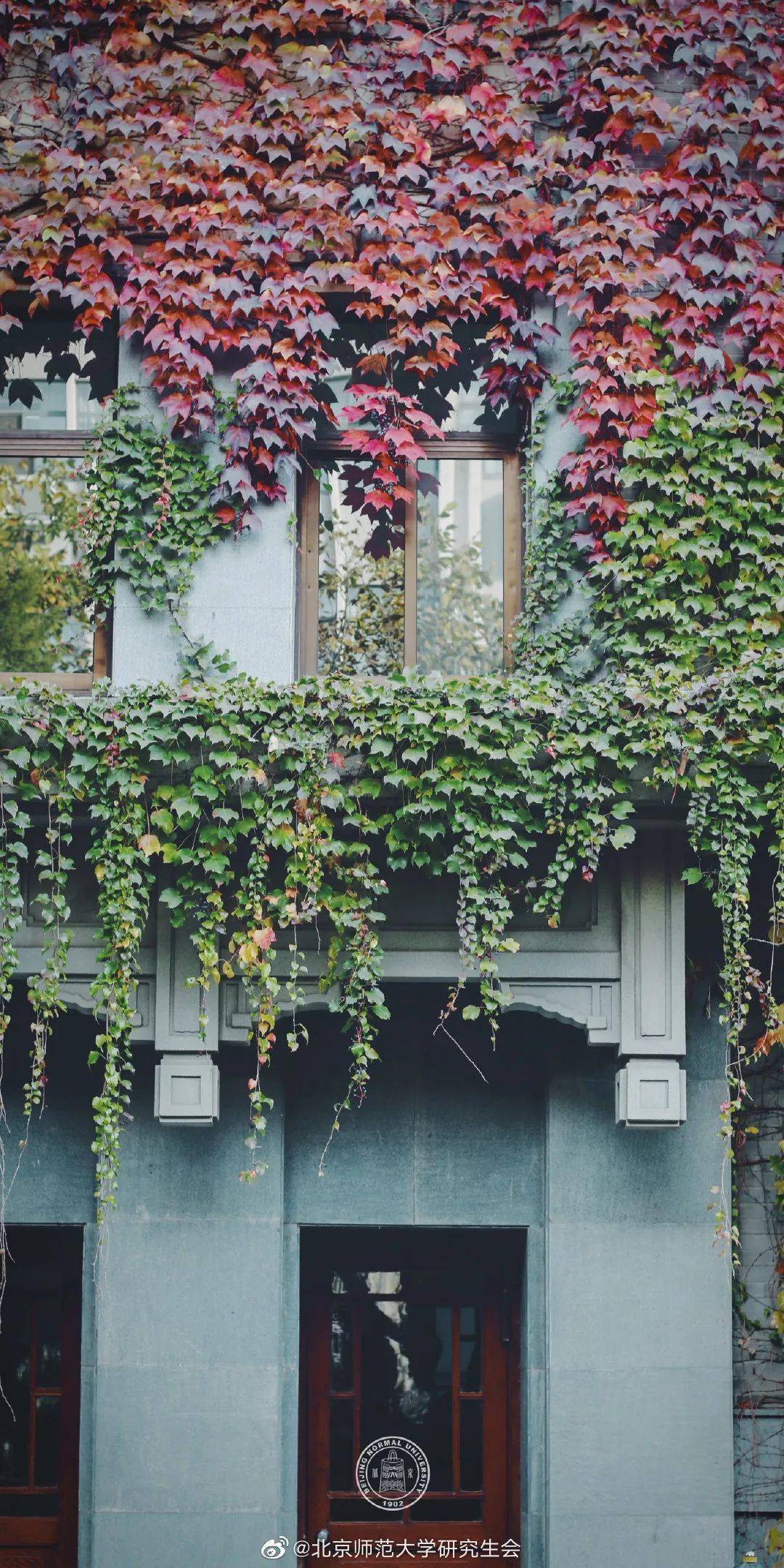 官宣|高校“官宣”秋景来了，有你的校园记忆吗？