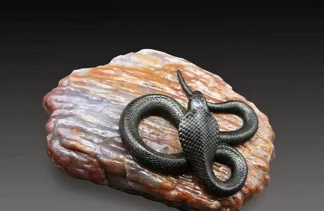 梦境的深层寓意,被蛇咬与被蛇阻止的双重体验解析 梦境的深层寓意,被蛇咬与被蛇阻止的双重体验解析