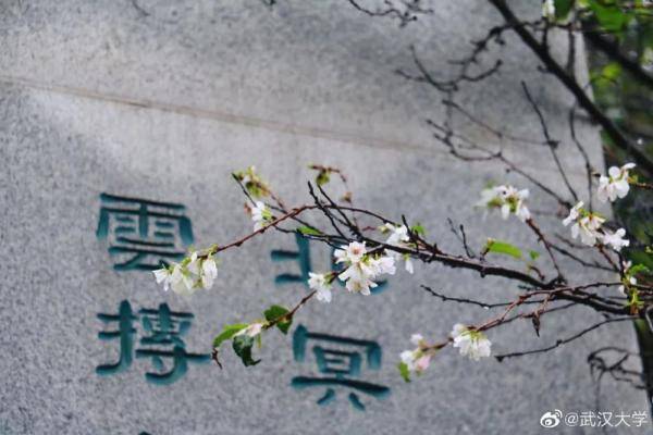 秋景大|高校秋景大赏丨想在春天种下一片色彩 在秋天送给你