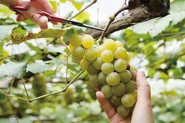 肌肤|救命！MUJI又来抢钱了！但我有最！低！价！