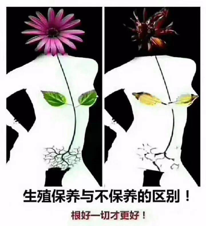 每日小知识:你的子宫多干净,脸就多干净