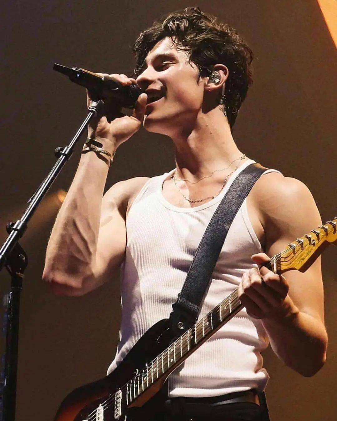 Classic| 音乐群英汇之《Stitches》_搜狐网