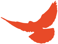 2020中国医科类大学_中国科学家首获乙肝研究最高奖