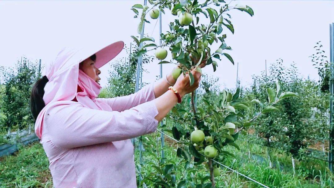 诸城人均收入_诸城恐龙博物馆(3)