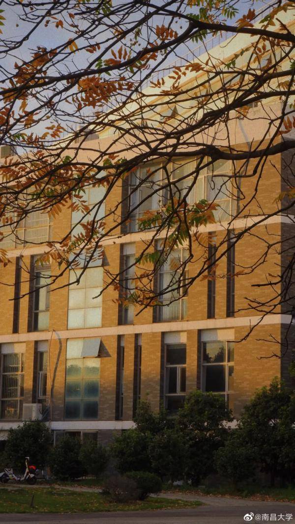秋景|惊艳！高校官宣秋景来了，有你的母校吗？