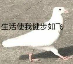 工具|化妆工具不用买太贵！这些几块钱的东西也很好用！