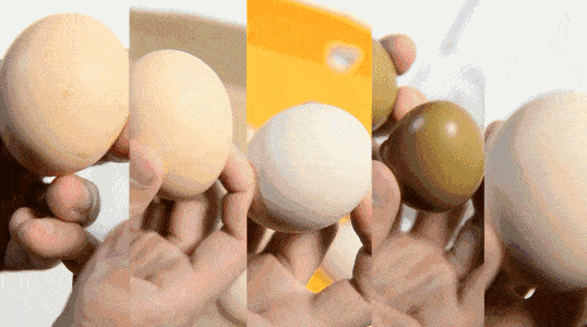 c19023b140dc47fa863cafae20081418.gif