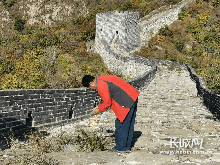 许国华在长城上清理游客留下的杂物.长城网记者 郑梦婷 摄