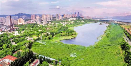 深圳经济社会发展和生态环境保护"比翼齐飞"