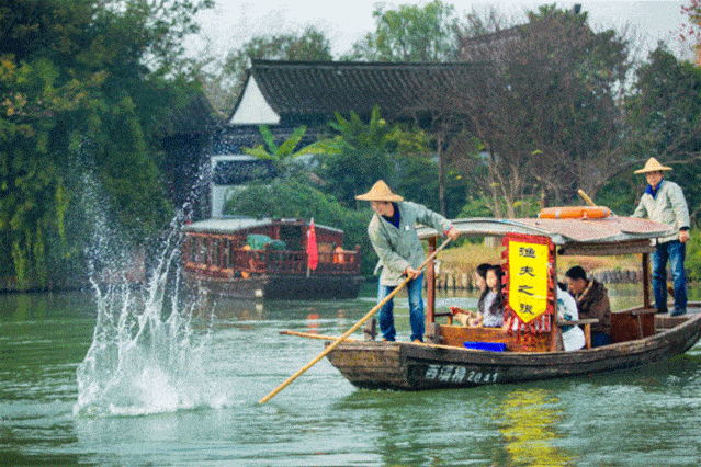 04 看过了西溪的芦花 怎么能错过