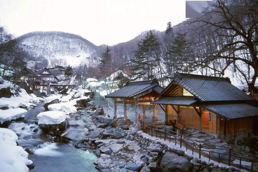 冬季去日本旅行,一定要体验一次泡温泉!