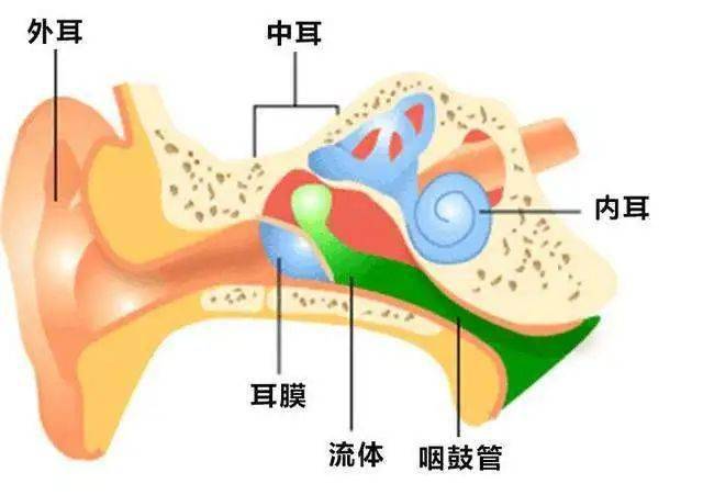 高烧,哭闹,耳朵剧痛!警惕秋冬季节宝宝常见病—中耳炎-搜狐大视野-搜