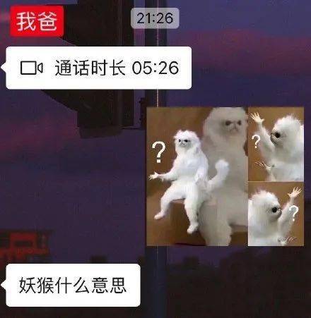 ▼妖猴是什么意思▼这个表情突然有内涵了▼哈士奇有被自信到你们感受