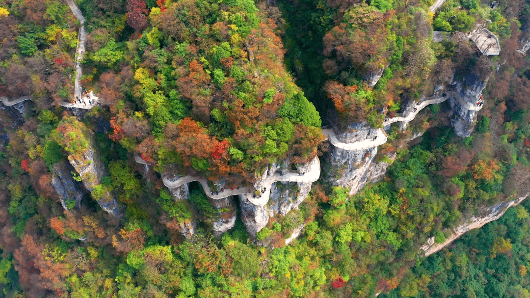 ▼ ▼  来源:汉中龙头山国际旅游度假区 编辑:王欢 责编:杨帆 审核:金