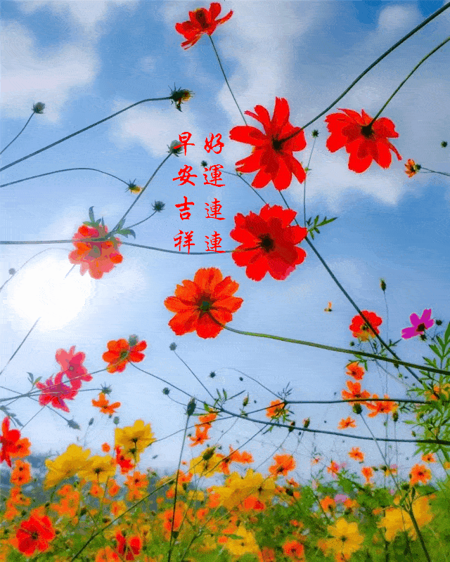 修形养性和施善积德