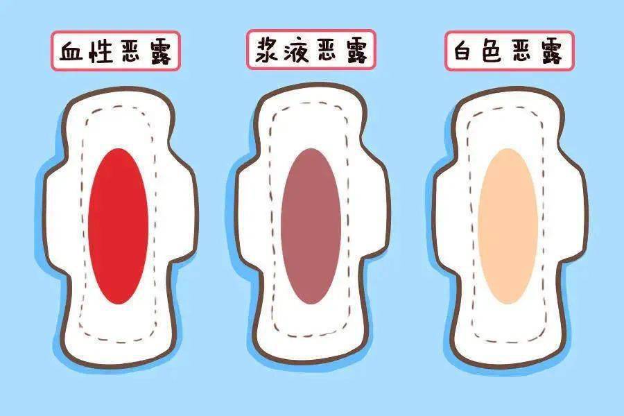 浆性恶露 随着子宫内膜的逐渐修复,出血量会明显减少,恶露的颜色会由